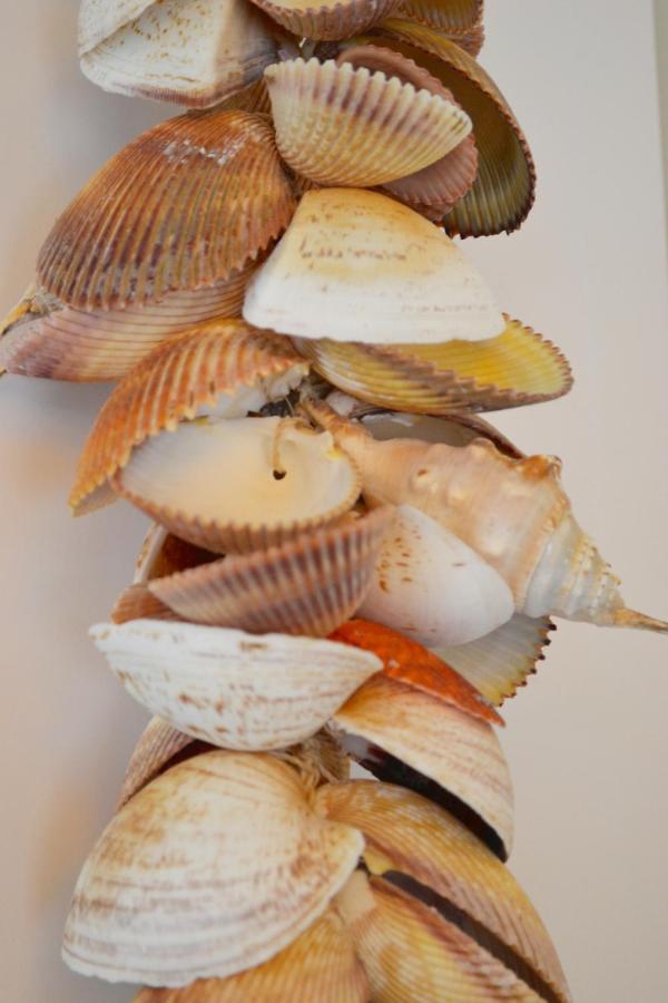 Beachy Chic Zandvoort Luaran gambar